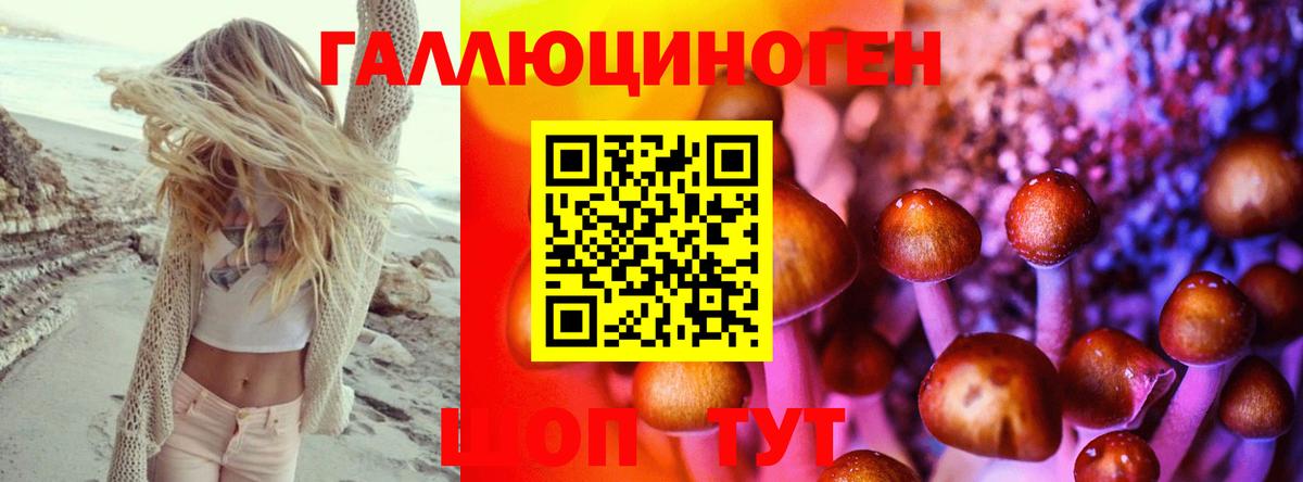 Ростов Великий  Галлюциногенные грибы Psilocybe  Вход с VPN  Псилоцибиновые грибы мухоморы 